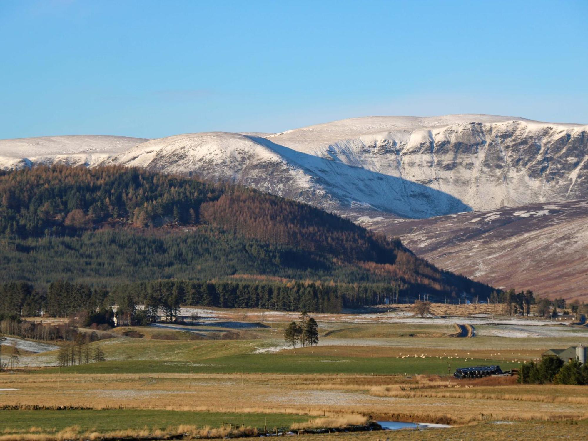 Villa The Bothy Kirriemuir Esterno foto